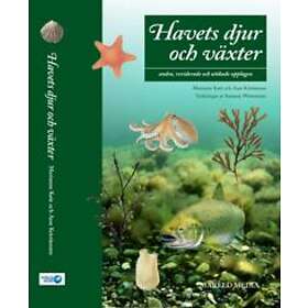 Havets djur och växter