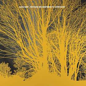 Nada Surf The Stars Are Indifferent To Astronomy LP