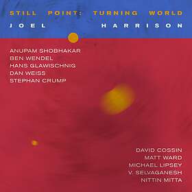 Joel Harrison Still Point:Turning World LP