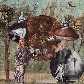 Harrow Old Kind Of Magic LP