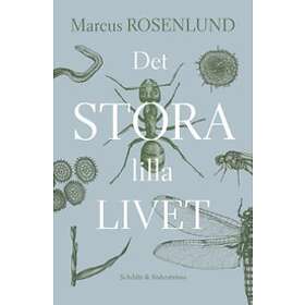 Det stora lilla livet