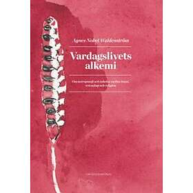 Vardagslivets Alkemi - Om Antroposofi Och Enheten Mellan Konst, Vetenskap Religion