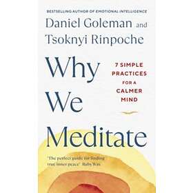Why We Meditate