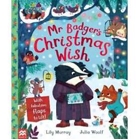 Mr Badger's Christmas Wish