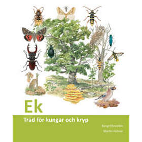 Ek : träd för kungar och kryp