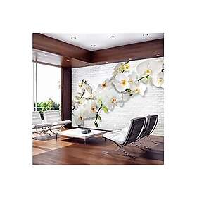 Orchid Fototapet The Urban