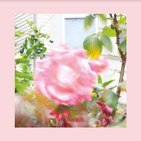 The Reds, Pinks And Purples Summer At Land's End Limited Edition LP
