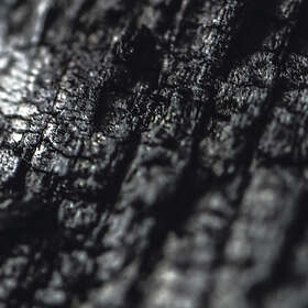 Parallel Worlds Plector CD