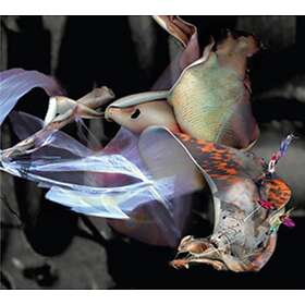 Parallel Worlds & Dave Bessell - Dystopia CD