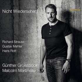 Gunther Groissbock Rott & Strauss: Nicht Wiedersehen! CD