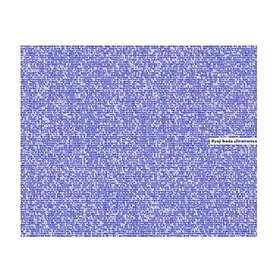 Ryoji Ikeda Ultratronics CD