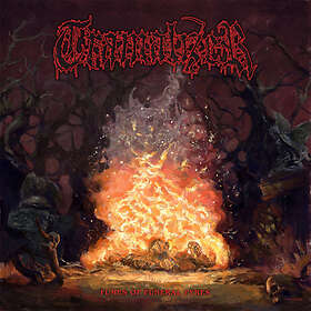 Tramalizer Fumes Of Funeral Pyres LP
