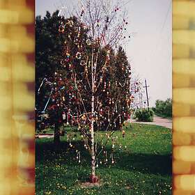 Kraus - A Golden Brain LP