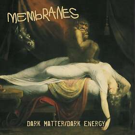The Membranes Dark Matter/Dark Energy CD