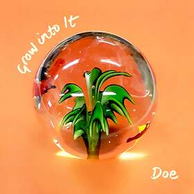 Doe Grow Into It CD