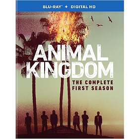Animal Kingdom Sesong 1 Blu-ray