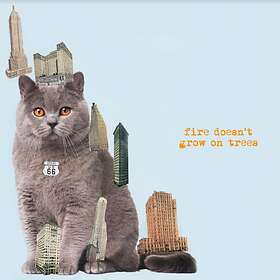 Brian Jonestown Massacre Fire Doesn't Grow On Trees LP