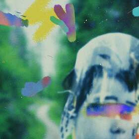 Team Me Something In The Making LP