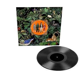 Don Broco Amazing Things LP