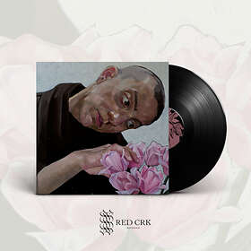 Birds In Gris Klein LP