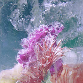 Efterklang Plexiglass Limited Edition LP