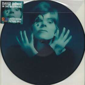 David Bowie In The Beginning Limited Edition LP
