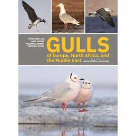 Gulls of Europe North Africa and the Middle East