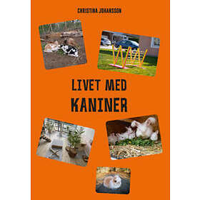 Livet med kaniner