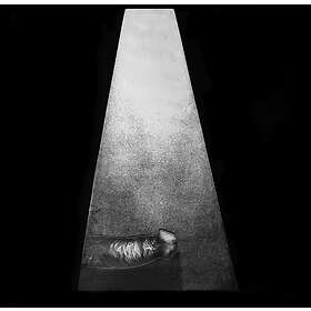 Whitehouse Erector CD