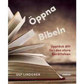 Öppna Bibeln : upptäck ditt liv i den stora berättelsen
