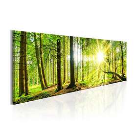 Arkiio Tavla Majestic Trees 150x50 A3-N4419-DK150