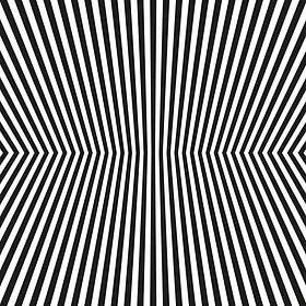 Vacant Lots Damage Control CD