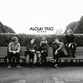 Audun Trio Elegy CD