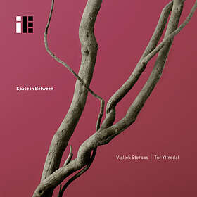 Vigleik Storaas/Tor Yttredal Space In Between CD