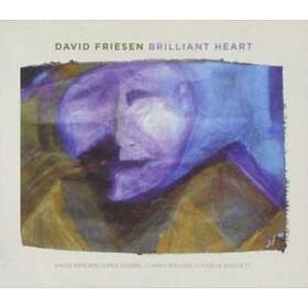 David Friesen Brilliant Heart CD