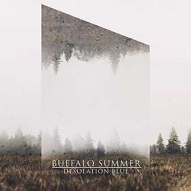 Buffalo Summer Desolation Blue CD