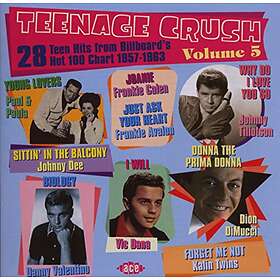 Artister Teenage Crush Volume 5 CD