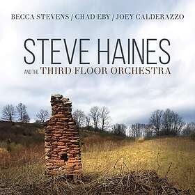 Steve Haines And The Third Floor Orchestra CD
