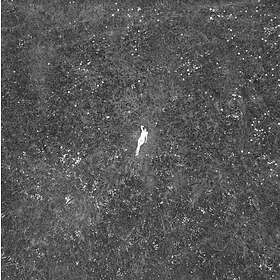 Birds Of Passage The Last Garden LP