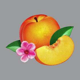 Phoenix Bankrupt! Deluxe Edition CD