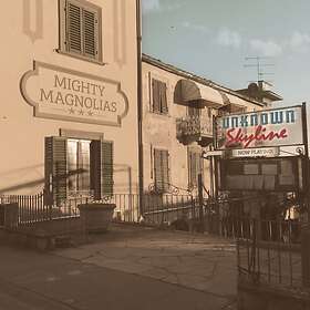 Mighty Magnolias Unknown Skyline CD