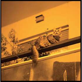 Prekop The Republic CD