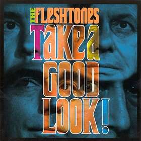 The Fleshtones Take A Good Look CD