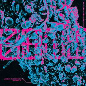 S.H.I.T. Hidden In Eternity / Eraser III LP