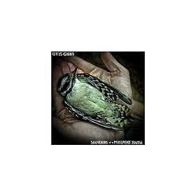 Gibbs Souvenirs Of A Misspent Youth CD