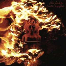 Elisa Randazzo Bruises And Butterflies CD