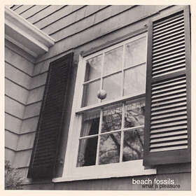 Beach Fossils What A Pleasure CD