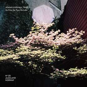 Johan Lindvall Trio No City, Tree, Lake CD