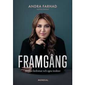 Framgång : andras lärdomar och egna insikter