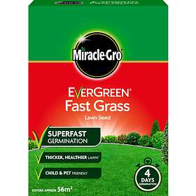 MiracleGro Evergreen Fast Grass Lawn Seed 56m² 1.6kg